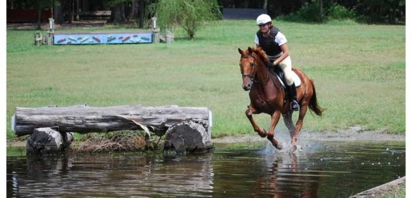 Completo: soppressi il Saggio nazionale e Campionato delle Scuole