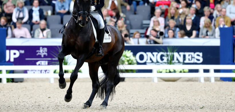 Coppa del Mondo Dressage: appuntamento a Francoforte
