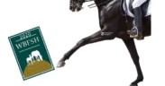 Dressage, gli Studbook da privilegiare - con attuale Ranking WBFSH