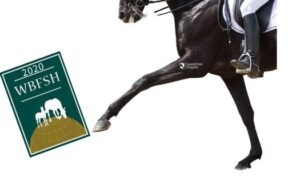 Dressage, gli Studbook da privilegiare - con attuale Ranking WBFSH