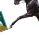 Dressage, gli Studbook da privilegiare - con attuale Ranking WBFSH