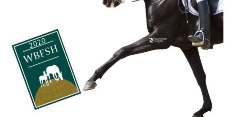Dressage, gli Studbook da privilegiare - con attuale Ranking WBFSH