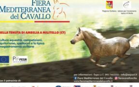 E' in corso la "Fiera Mediterranea del Cavallo"