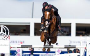 Final Rankings 2020 FEI-WBFSH: leadership assoluta del KWPN e un po' di Italia, grazie a Chalou/Gaudiano