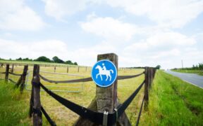 Francia: non si ferma la violenza seriale contro gli equidi