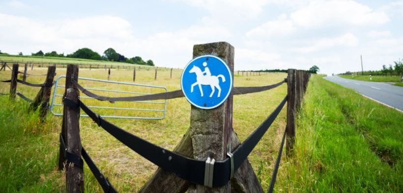 Francia: non si ferma la violenza seriale contro gli equidi