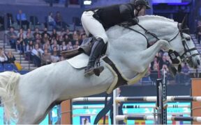 La FEI conferma l'avvio del procedimento disciplinare verso Kocher