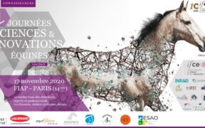 Le "Journées sciences & innovations équines" aperte a tutti, in webconference