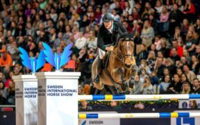 Lo Sweden International Horse Show slitta a novembre 2021