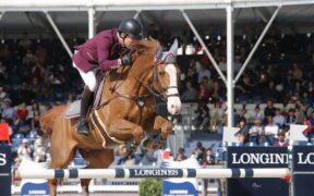 Pensionamento per il 18enne Viking, top horse di Michael Whitaker