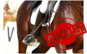 Annullati i Mondiali per giovani cavalli da dressage di Verden 1