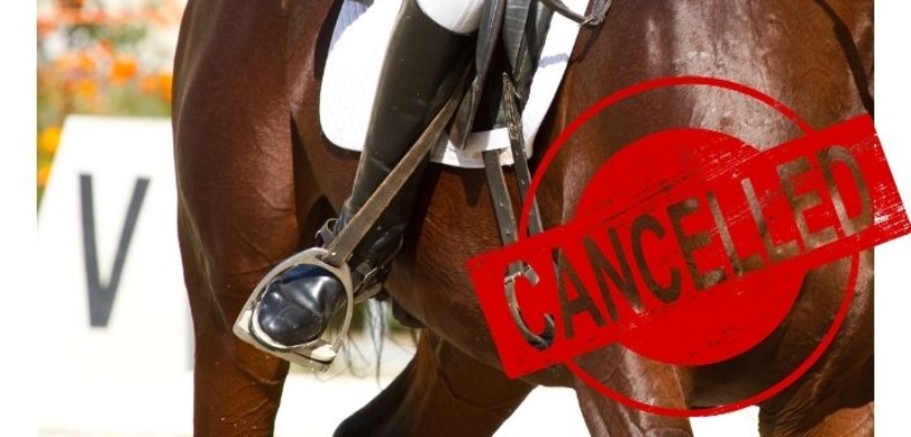 Annullati i Mondiali per giovani cavalli da dressage di Verden 1