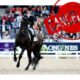 Coppa del Mondo Dressage, cancellata la tappa di Francoforte (CDI-W)