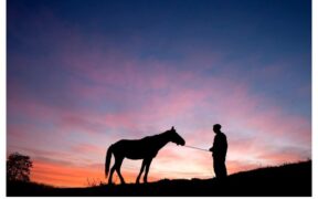 Dal 20 novembre la serie di webinar intitolata “E l’uomo incontrò il cavallo”