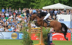 Ecco le WBFSH SIRE RANKINGS 2020 - migliori stalloni