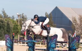 Grand Prix internazionali, ecco i podi (WEEK #47)