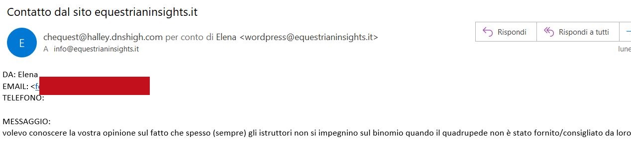 Vendo cavalli, seguo allievi, faccio il cavaliere...