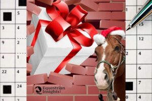Cruciverba Equestre 2