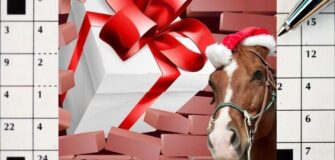 Cruciverba Equestre 2