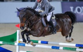 Grand Prix internazionali, ecco i podi (WEEK #51)