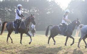 I Mondiali di Endurance 2022 assegnati all'Italia