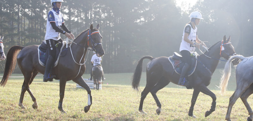 I Mondiali di Endurance 2022 assegnati all'Italia