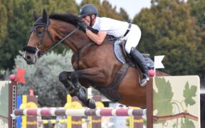 Il Tribunale conferma in Appello la condanna a Paul Estermann
