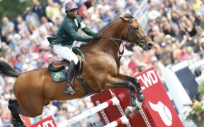 Pensionamento per Quickly de Kreisker