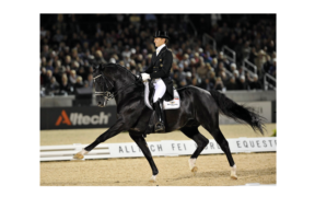 RIP Totilas, icona del dressage e non solo 2