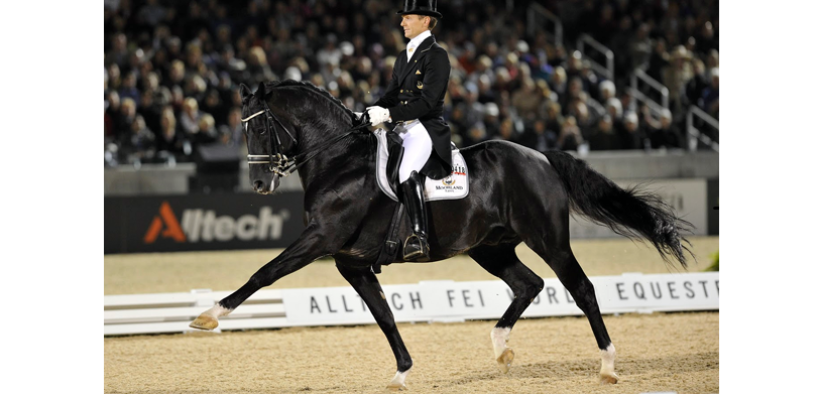 RIP Totilas, icona del dressage e non solo 2