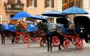 Roma: un nuovo regolamento per le "botticelle"