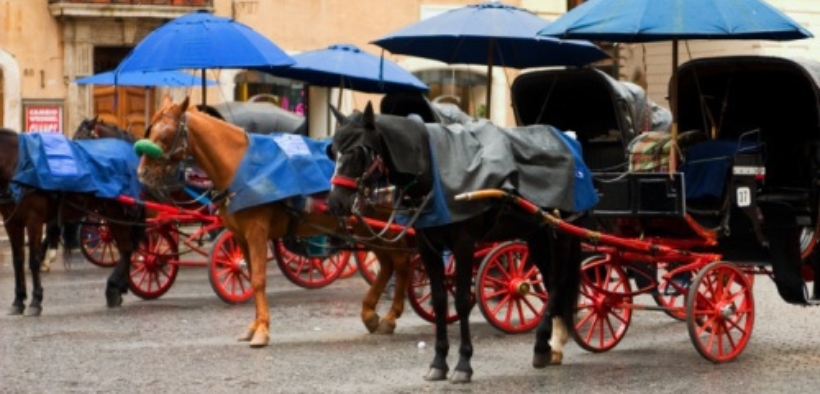 Roma: un nuovo regolamento per le "botticelle"