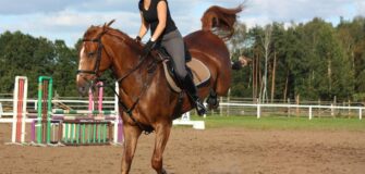 Sgroppate: distinguere tra temperamento e mal di schiena 2