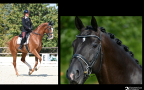 Valentina Truppa: perché Totilas ha segnato una svolta