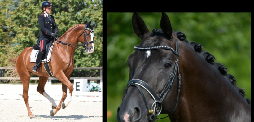 Valentina Truppa: perché Totilas ha segnato una svolta