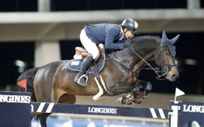 Valentino Velvet ritirato dallo sport