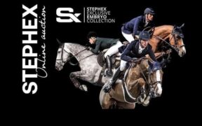 Venduto a 71.000 euro un embrione da Chacco-Blue ed Erenice Horta