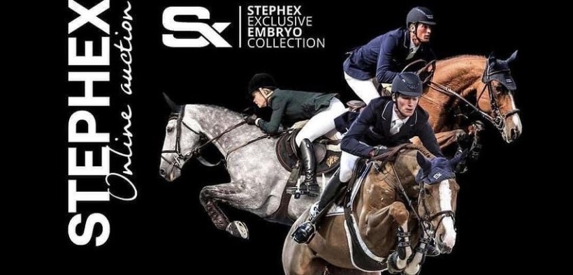 Venduto a 71.000 euro un embrione da Chacco-Blue ed Erenice Horta