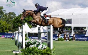 Addio al dodicenne Born To Be Picobello Z