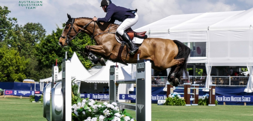 Addio al dodicenne Born To Be Picobello Z