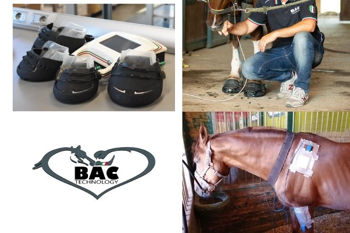 BAC Technology: tecnologia innovativa a servizio degli equidi 2