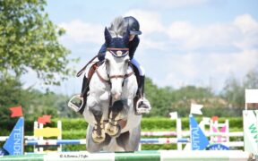 Calendario e programma agonistico Giovani cavalli 2021