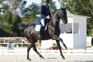 Coppa del Mondo dressage: Von Bredow-Werndl firma la vittoria tedesca a Salisburgo 1