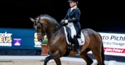 Dressage, Coppa del Mondo (CDI-W): pronti per l'appuntamento di Salisburgo? 1