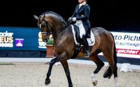Dressage, Coppa del Mondo (CDI-W): pronti per l'appuntamento di Salisburgo? 1