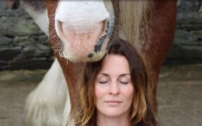 Horse healing: il passo avanti della pet therapy