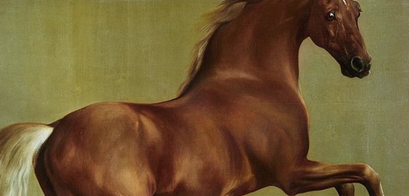Il cavallo lungo la storia dell'arte? Una costante presenza