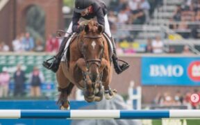 Polias de Blondel ritirato a 18 anni