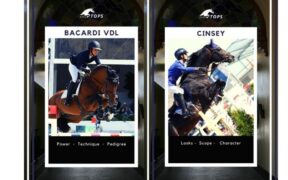 Stal Tops Breeding: Cinsey e Bacardi VDL