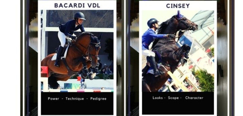 Stal Tops Breeding: Cinsey e Bacardi VDL